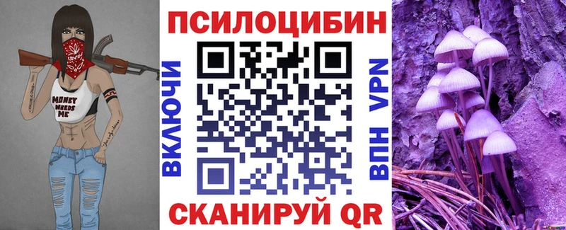 где продают   Североуральск  Псилоцибиновые грибы Psilocybine cubensis 